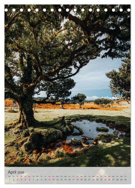 Produktbild: The Flower Island Madeira (Desk Calendar 2026 DIN A5 portrait), CALVENDO 12 Month DeskCalendar