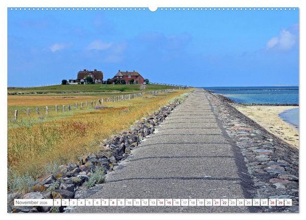 Produktbild: Sommertage auf Hallig Hooge (Wandkalender 2026 DIN A2 quer), CALVENDO Monatskalender
