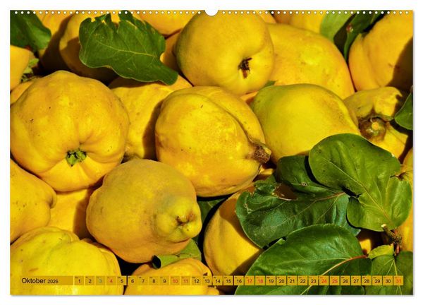 Produktbild: GELB - Gem&uuml;se und Obst - Sonnengereift (hochwertiger Premium Wandkalender 2026 DIN A2 quer), Kunstdruck in Hochglanz