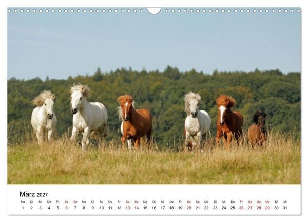 Produktbild: Islandpferde - Hufschlag aus Feuer und Eis (Wandkalender 2027 DIN A3 quer), CALVENDO Monatskalender