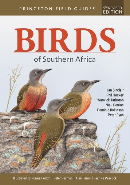 Produktbild: Birds of Southern Africa