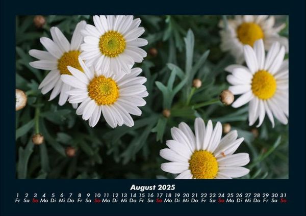 Produktbild: Blumenzauber 2025 Fotokalender DIN A4