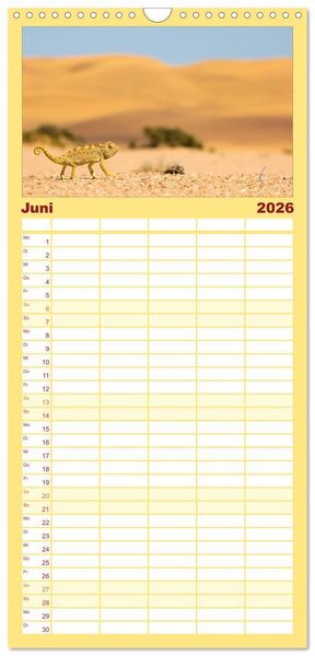 Produktbild: Familienplaner 2026 - Wildes Namibia mit 5 Spalten (Wandkalender, 21 x 45 cm) CALVENDO