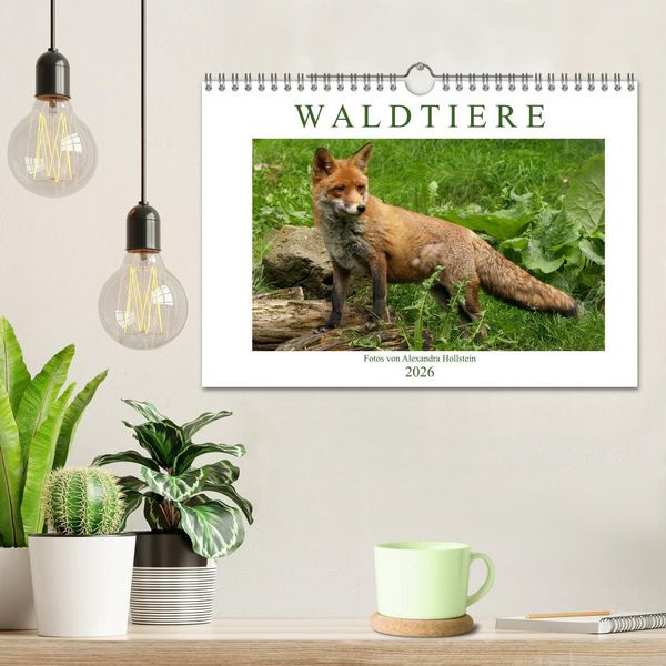 Produktbild: Waldtiere (Wandkalender 2026 DIN A4 quer), CALVENDO Monatskalender