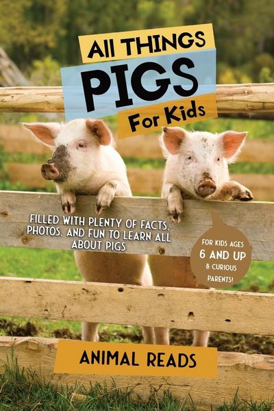 Produktbild: All Things Pigs For Kids