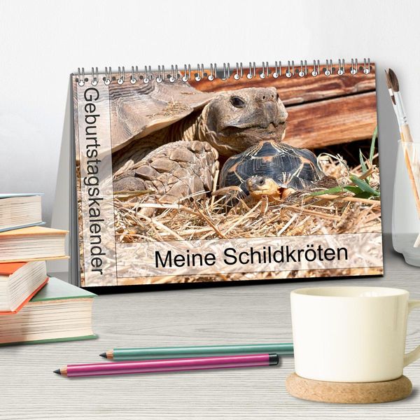 'Meine Schildkröten - Geburtstagskalender (Tischkalender 2024 DIN A5