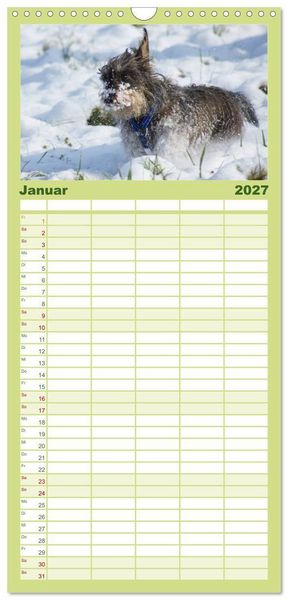 Produktbild: Familienplaner 2027 - Der Zwergrauhaardackel - Eigensinnig und Liebenswert mit 5 Spalten (Wandkalender, 21 x 45 cm) CALVENDO