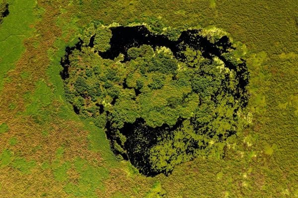 Produktbild: Pantanal
