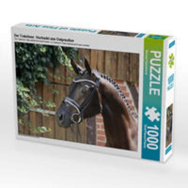 CALVENDO Puzzle Der Trakehner. Hochadel aus Ostpreußen | 1000 Teile Lege-Größe 64x48cm Foto-Puzzle für glückliche Stunden