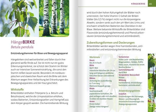 Produktbild: Grüne Hausapotheke für Hunde. Kompakt-Ratgeber