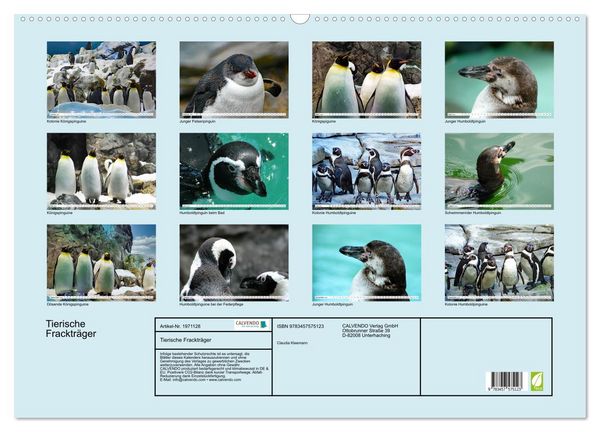 Produktbild: Tierische Fracktr&auml;ger (Wandkalender 2026 DIN A2 quer), CALVENDO Monatskalender