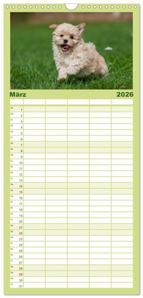 Produktbild: Familienplaner 2026 - Welpen 2026 mit 5 Spalten (Wandkalender, 21 x 45 cm) CALVENDO
