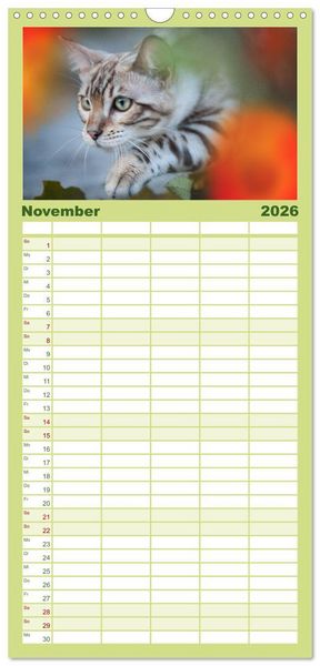 Produktbild: Familienplaner 2026 - Bengalen Outdoor und Action mit 5 Spalten (Wandkalender, 21 x 45 cm) CALVENDO