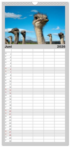Produktbild: Familienplaner 2026 - S&uuml;dafrika mit 5 Spalten (Wandkalender, 21 x 45 cm) CALVENDO