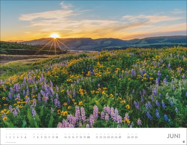 Produktbild: Sonnenzauber Posterkalender 2027