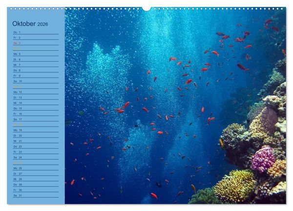 Produktbild: Momente im Blau - Ein Terminplaner f&uuml;r Unterwasser-Freunde (Wandkalender 2026 DIN A2 quer), CALVENDO Monatskalender