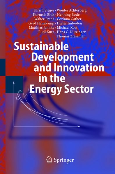 Produktbild: Sustainable Development and Innovation in the Energy Sector