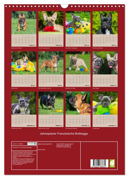 Produktbild: Jahresplaner Franz&ouml;sische Bulldogge (Wandkalender 2026 DIN A3 hoch), CALVENDO Monatskalender
