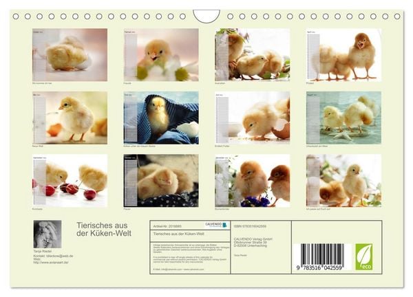 Produktbild: Tierisches aus der K&uuml;ken-Welt (Wandkalender 2026 DIN A4 quer), CALVENDO Monatskalender
