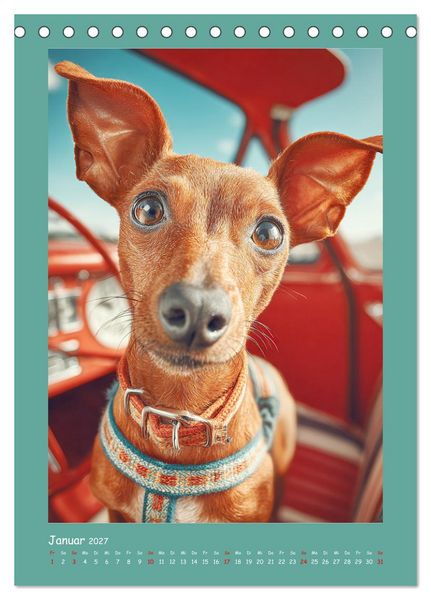 Produktbild: Mini-Pinscher. Kleine Hunde in sch&ouml;nen Momenten (Tischkalender 2027 DIN A5 hoch), CALVENDO Monatskalender