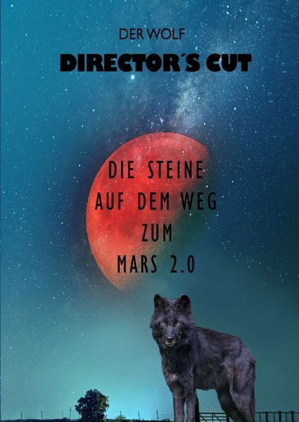 Produktbild: Director's Cut
