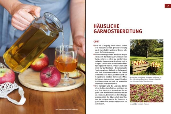 Produktbild: Cider, Most & Apfelwein