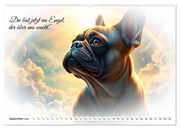 Produktbild: Hunde &uuml;ber der Regenbogenbr&uuml;cke (hochwertiger Premium Wandkalender 2026 DIN A2 quer), Kunstdruck in Hochglanz