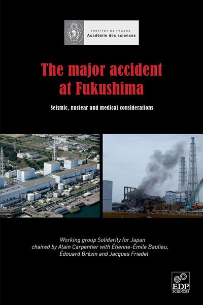Produktbild: The major accident at Fukushima
