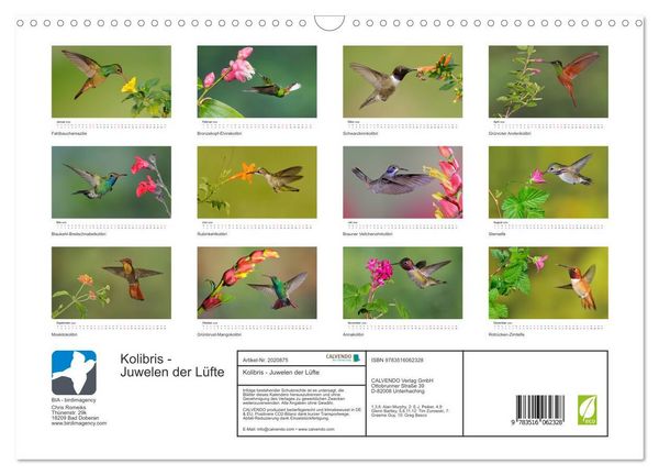 Produktbild: Kolibris - Juwelen der L&uuml;fte (Wandkalender 2026 DIN A3 quer), CALVENDO Monatskalender