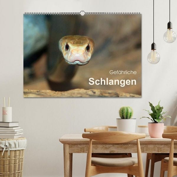 Produktbild: Gef&auml;hrliche Schlangen (Wandkalender 2027 DIN A2 quer), CALVENDO Monatskalender