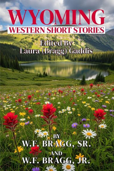 Produktbild: Wyoming Western Short Stories