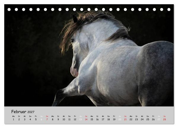 Produktbild: Pferde - Anmut und St&auml;rke gepaart mit Magie (Tischkalender 2027 DIN A5 quer), CALVENDO Monatskalender