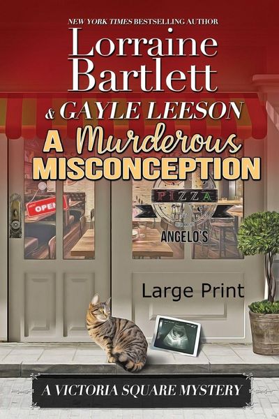 Produktbild: A Murderous Misconception