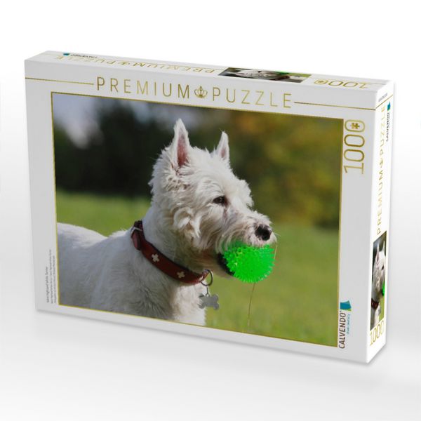 Produktbild: CALVENDO Puzzle West Highland White Terrier | 1000 Teile Lege-Gr&ouml;&szlig;e 64x48cm Foto-Puzzle f&uuml;r gl&uuml;ckliche Stunden