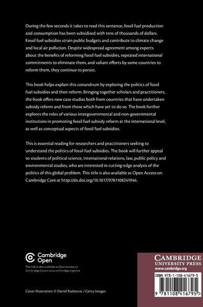 Produktbild: The Politics of Fossil Fuel Subsidies and Their Reform