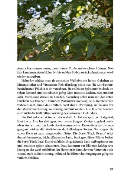 Produktbild: Lebensraum Geh&ouml;lz