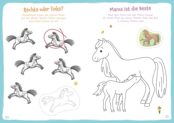 Produktbild: WAS IST WAS Meine Welt Mach mit! Ponys