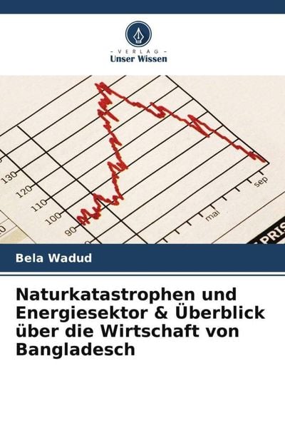 Produktbild: Naturkatastrophen und Energiesektor & &Uuml;berblick &uuml;ber die Wirtschaft von Bangladesch