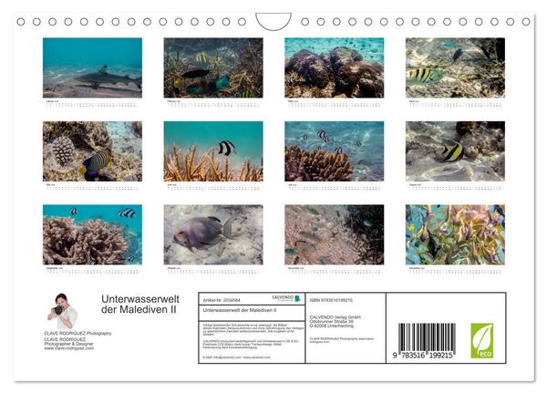 Produktbild: Unterwasserwelt der Malediven II (Wandkalender 2026 DIN A4 quer), CALVENDO Monatskalender
