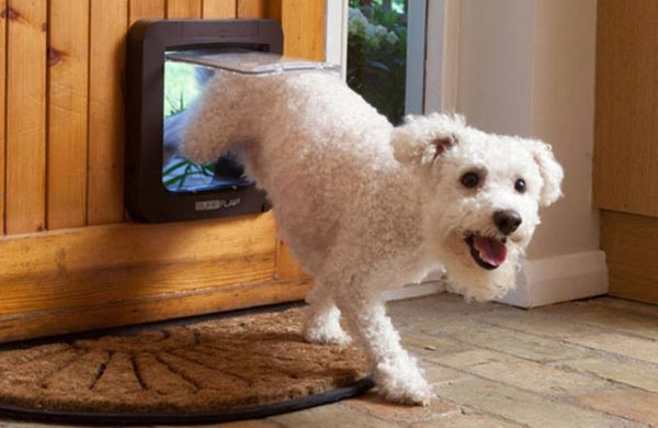 Produktbild: SureFlap Mikrochip Pet door Haustierklappe Braun 1St.