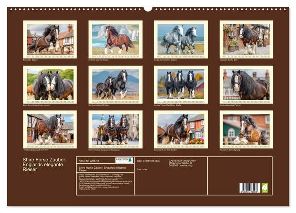 Produktbild: Shire Horse Zauber. Englands elegante Riesen (Wandkalender 2027 DIN A2 quer), CALVENDO Monatskalender