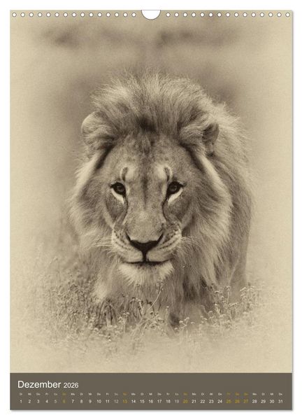 Produktbild: Afrikas Tierwelt - Sepia-Art (Wandkalender 2026 DIN A3 hoch), CALVENDO Monatskalender