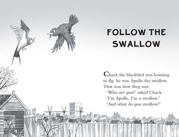 Produktbild: JULIA DONALDSONS BK OF PB