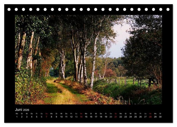 Produktbild: Landschaft Teufelsmoor / 2026 (Tischkalender 2026 DIN A5 quer), CALVENDO Monatskalender