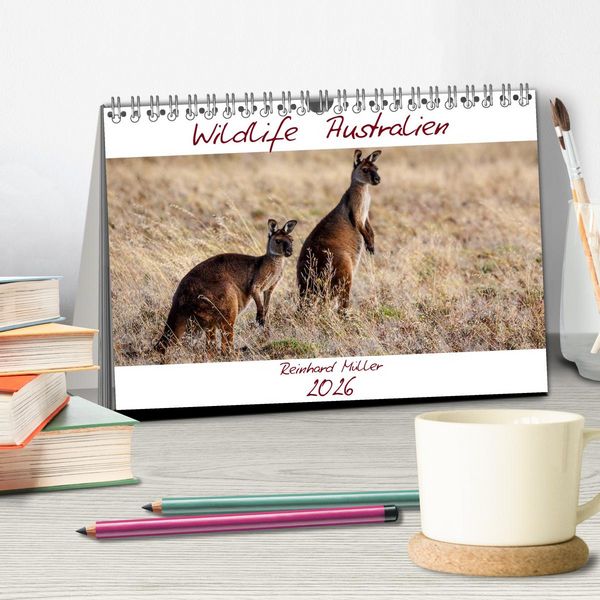 Produktbild: Wildlife Australien (Tischkalender 2026 DIN A5 quer), CALVENDO Monatskalender