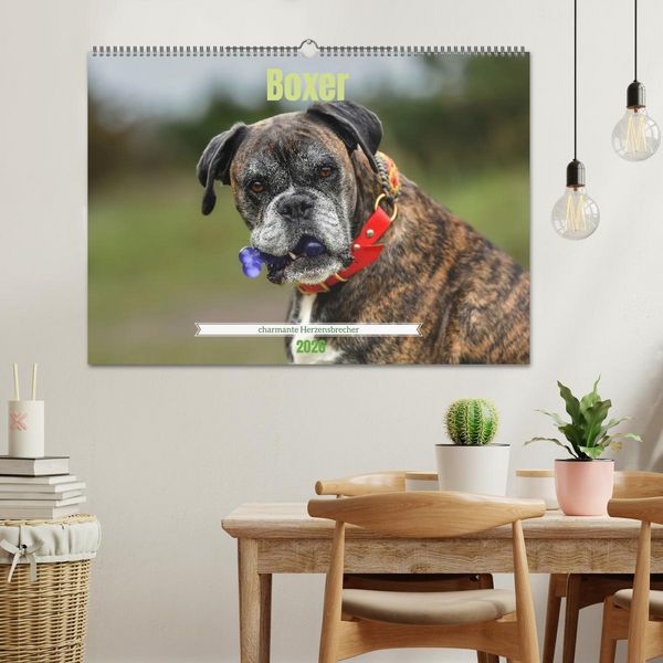 Produktbild: Boxer - charmante Herzensbrecher (Wandkalender 2026 DIN A2 quer), CALVENDO Monatskalender
