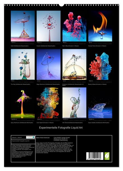 Produktbild: Experimentelle Fotografie Liquid Art (hochwertiger Premium Wandkalender 2026 DIN A2 hoch), Kunstdruck in Hochglanz