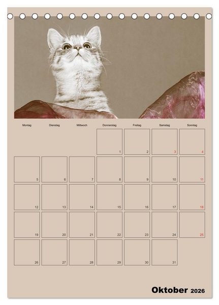 Produktbild: Mit Katzen durchs Jahr / Planer (Tischkalender 2026 DIN A5 hoch), CALVENDO Monatskalender