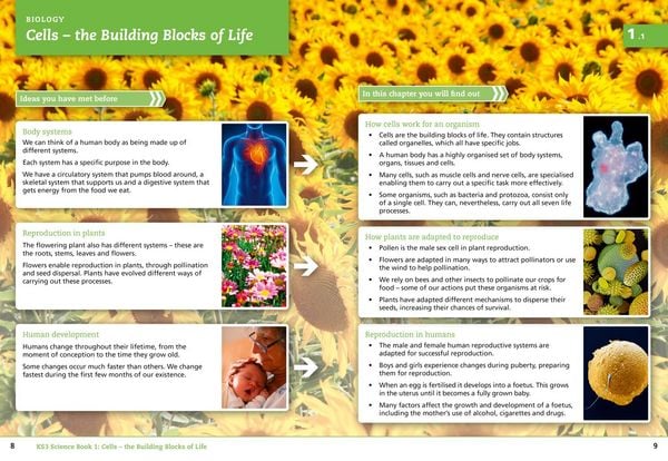 Produktbild: Student Book 1