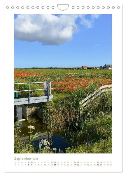 Produktbild: Texel - Momente die verzaubern (Wandkalender 2026 DIN A4 hoch), CALVENDO Monatskalender
